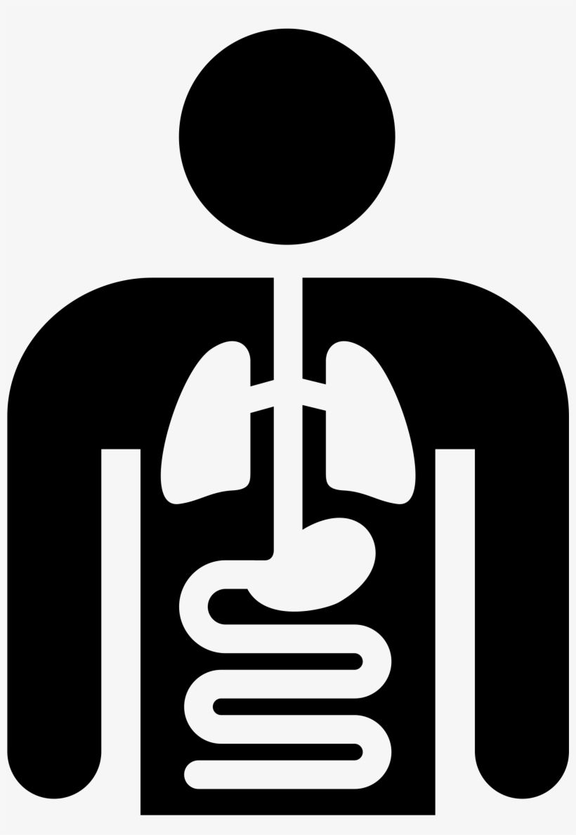 2000 X 2817 4, transparent png download