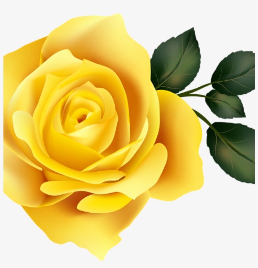 Yellow Rose Clipart 15 Rose Clipart Yellow Rose For - Transparent Purple Rose Png, transparent png download