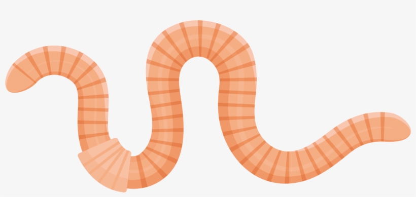 Worm Press, transparent png download
