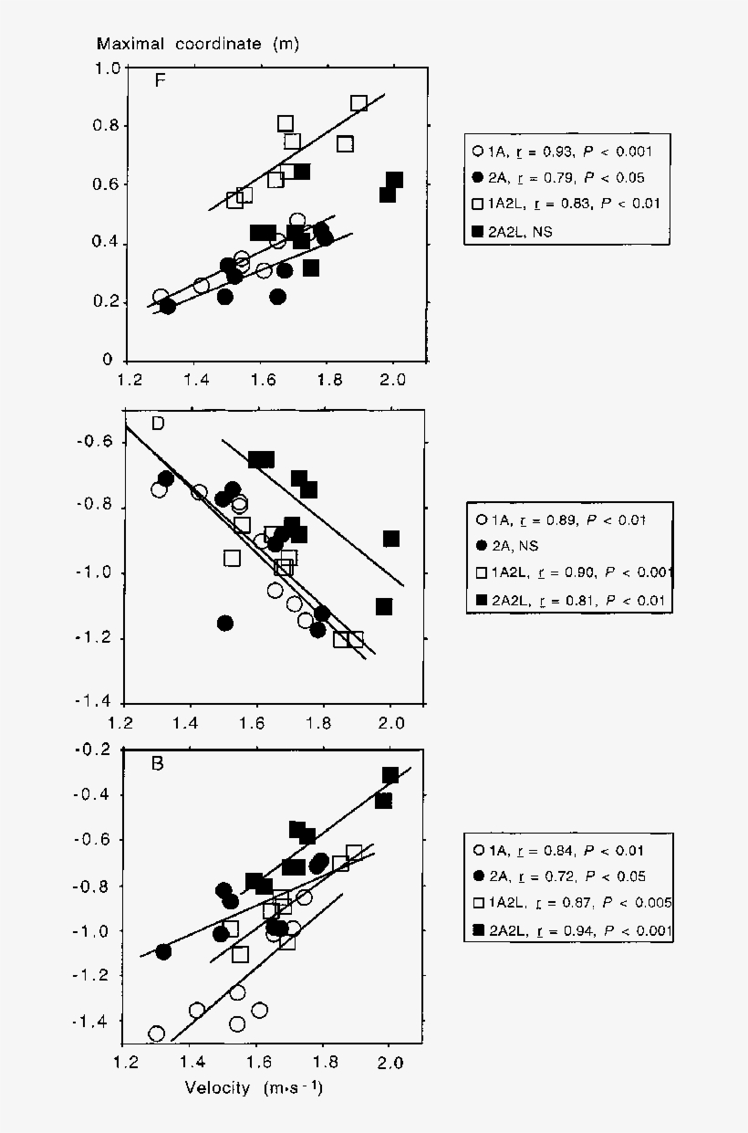 Relationships Between Velocity And The Maximal Coordinate - Diagram, transparent png download