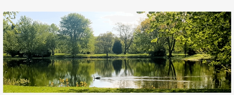 Lakeheader - Reflection, transparent png download