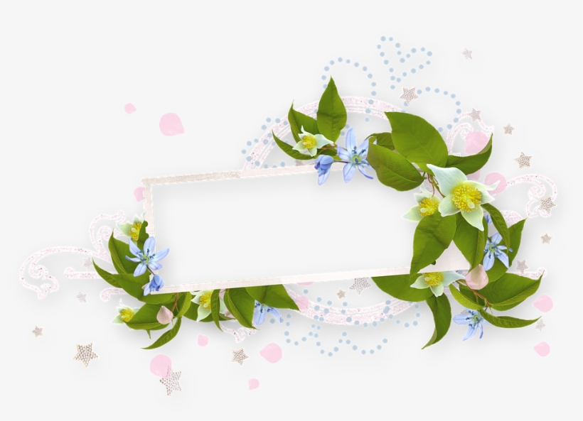 Spring, Bloom, Spring Flower, Nature, Flowers - Honeysuckle, transparent png download