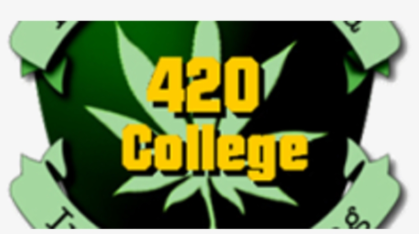 California College For 420 - 420, transparent png download
