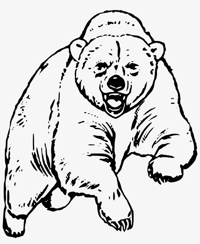 This Free Icons Png Design Of Big Bear, transparent png download