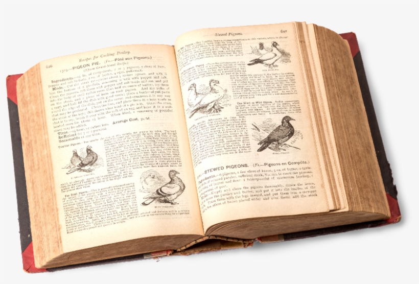 Mrs Beeton's Cookbook - Document, transparent png download