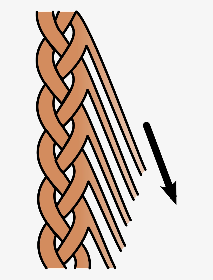 Feathered Braid Graphic, transparent png download