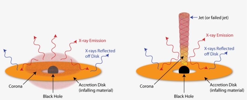 Gigantic X Rays Flares Offer New Insight - Corona In A Black Hole, transparent png download