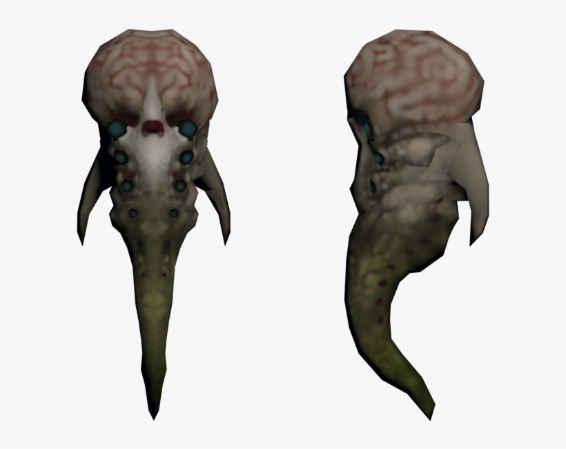Download Zip Archive - Seahorse, transparent png download