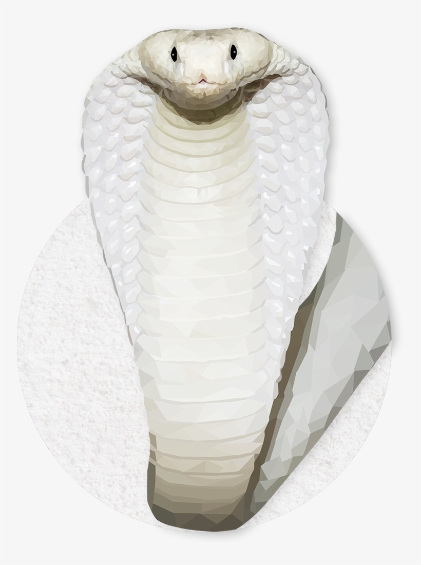 Emmasimoncic - Tumblr - Com - Low Poly White Cobra - Serpent, transparent png download