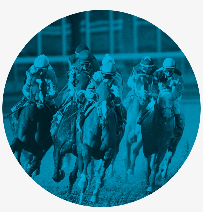 Performance Genetics Sees Into A Thoroughbred's Future, - Circle, transparent png download