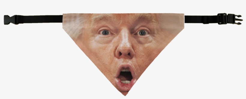 "shocked Trump Pet Bandana\ - Selfie, transparent png download