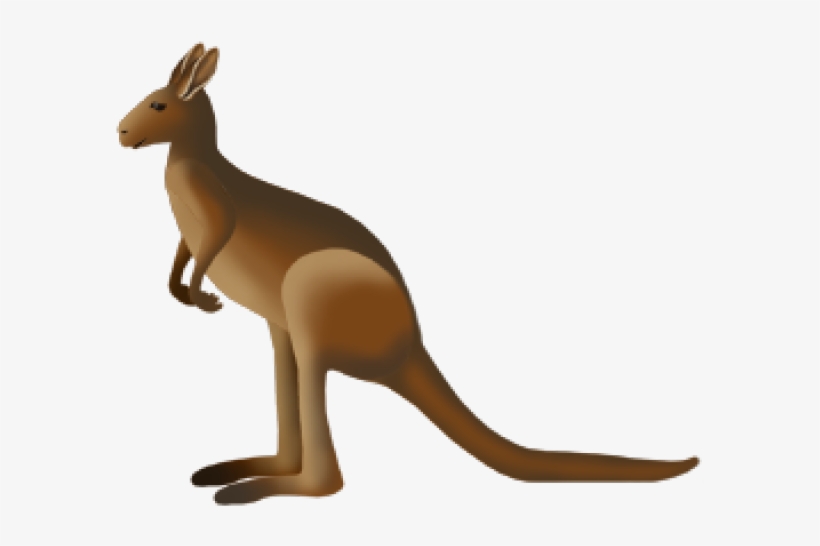 Kangaroo, transparent png download