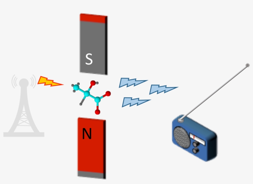 The Nuclei Absorb Some Of The Energy From The Radio - Electronics, transparent png download