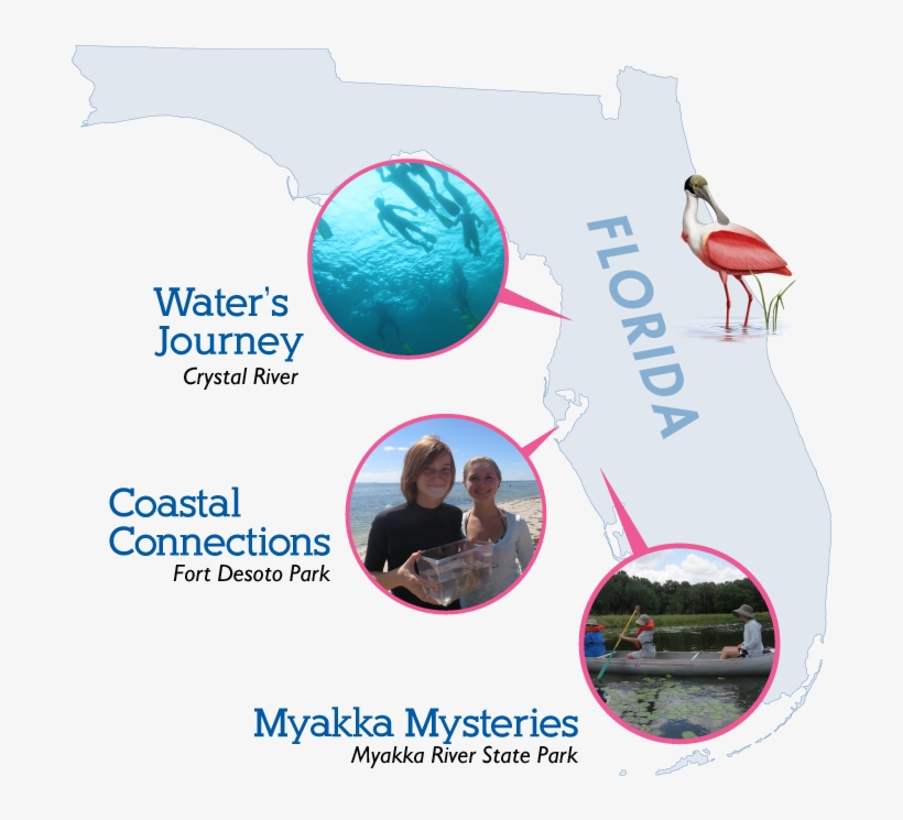 Natures Academy Location Map - Fnm, transparent png download