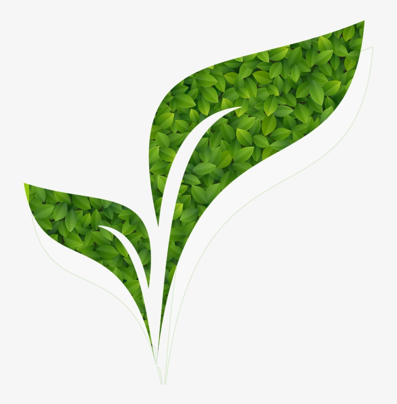 Balance & Harmony Wellness - Illustration, transparent png download