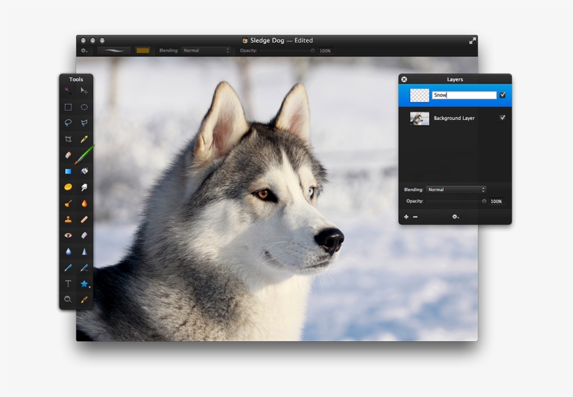 In The Layers Palette , Click The Add Button ( ) To - Pointy Ears Animals, transparent png download