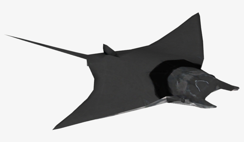 Giant Mobula Ray - Freshwater Whipray, transparent png download