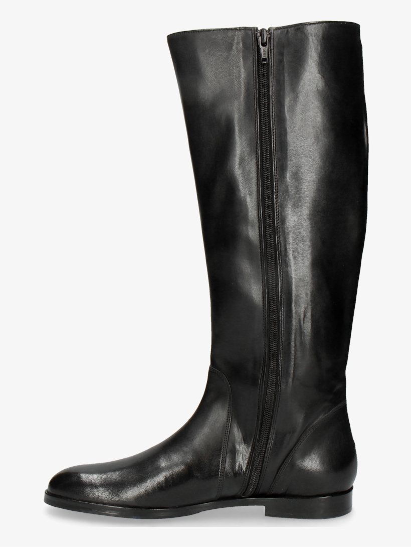 Boots Susan 7 Rio Black Hrs Electric Blue - Riding Boot, transparent png download
