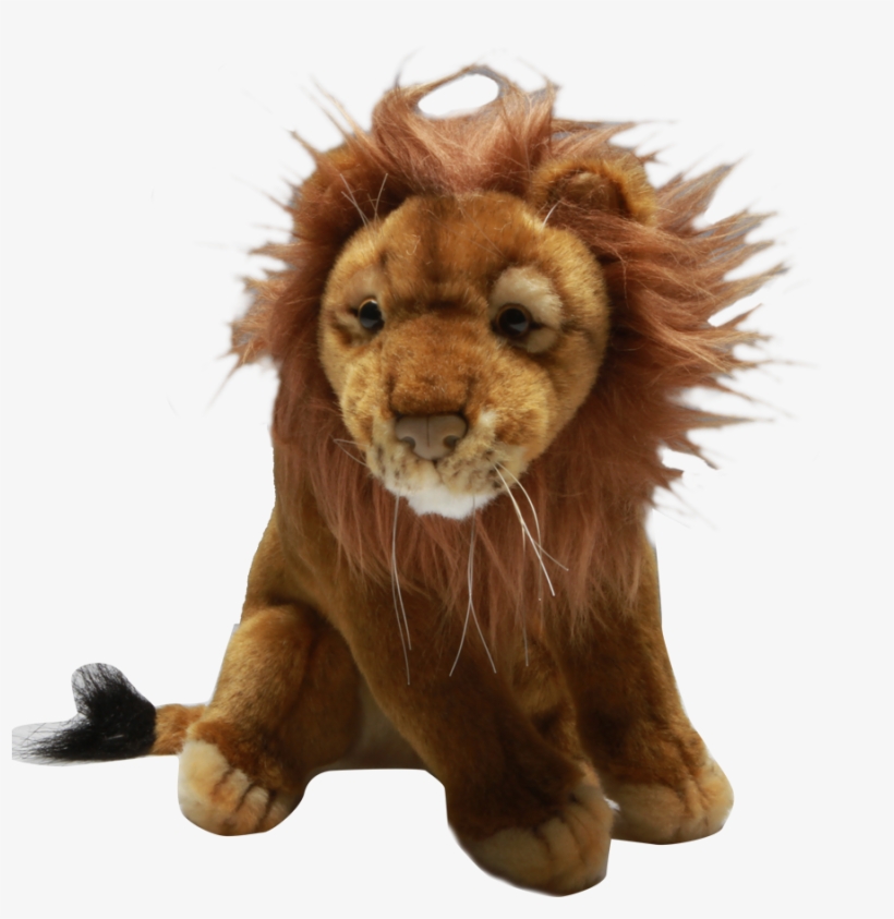 Roar - Masai Lion, transparent png download