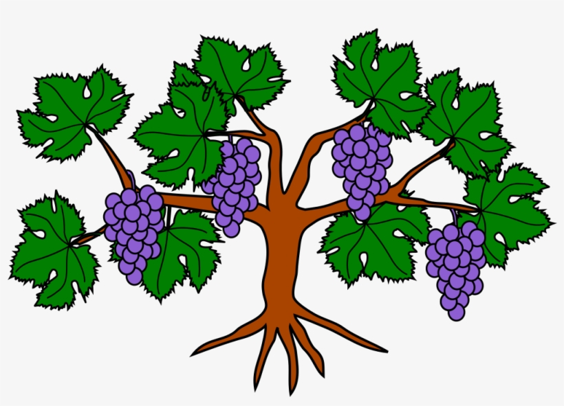 320 × 226 Pixels - Heraldic Grapes Png, transparent png download