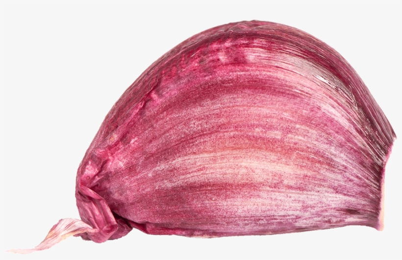 Garlic - Red Onion, transparent png download