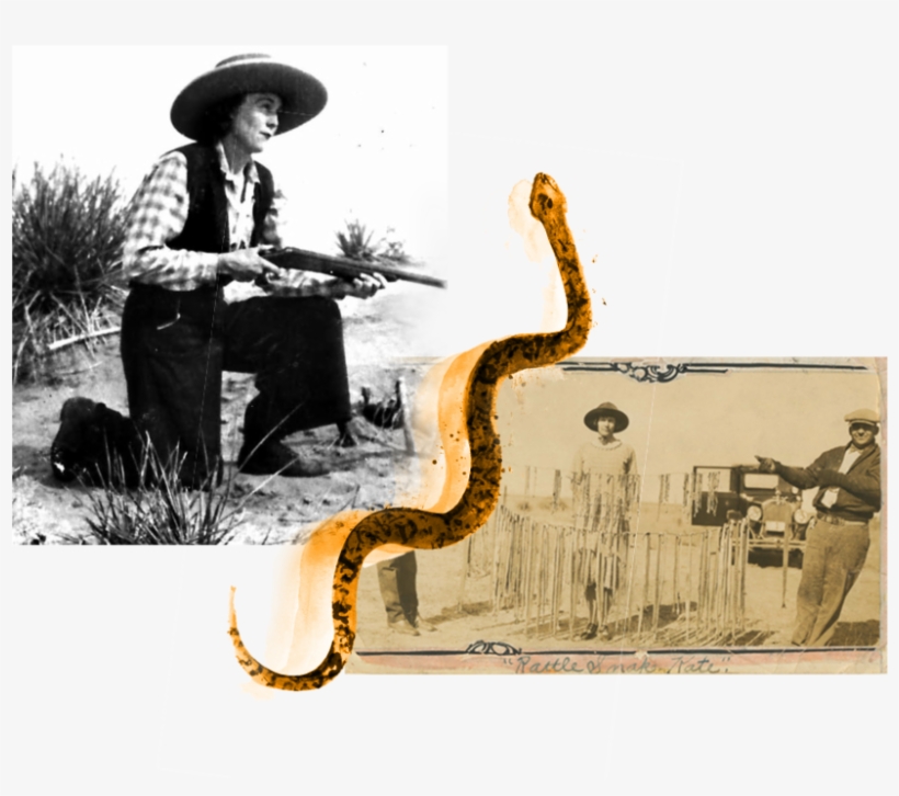 Denver Rattlesnake Kate Header - Katherine Rattlesnake Kate Mchale, transparent png download