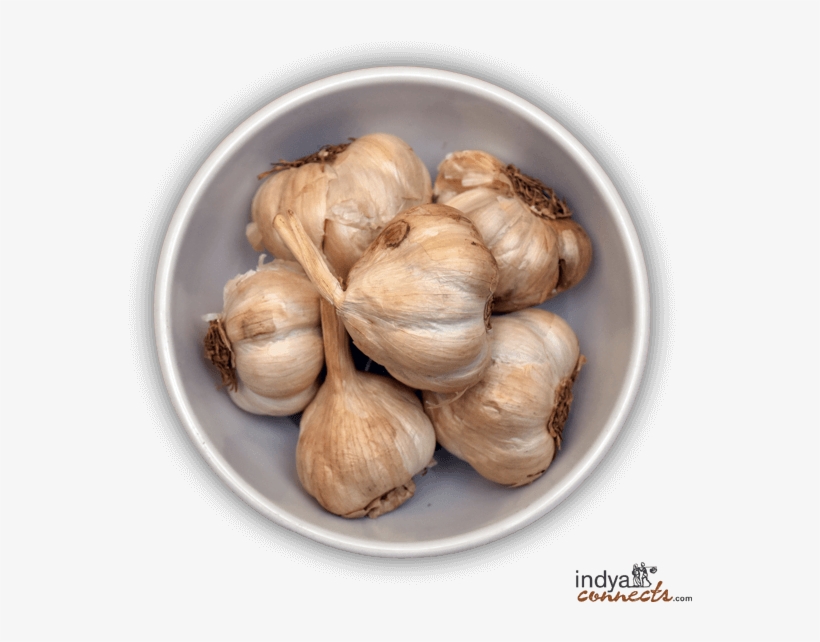 Garlic, transparent png download