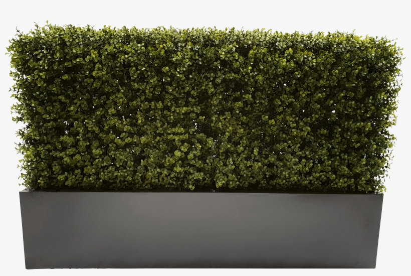 100cm Grey Planter - Hedge, transparent png download