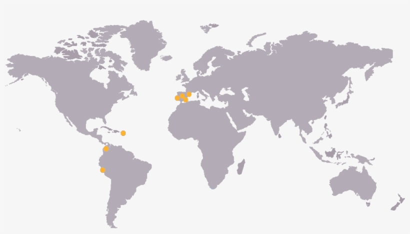 Mapa Mundo Gris - World Map, transparent png download