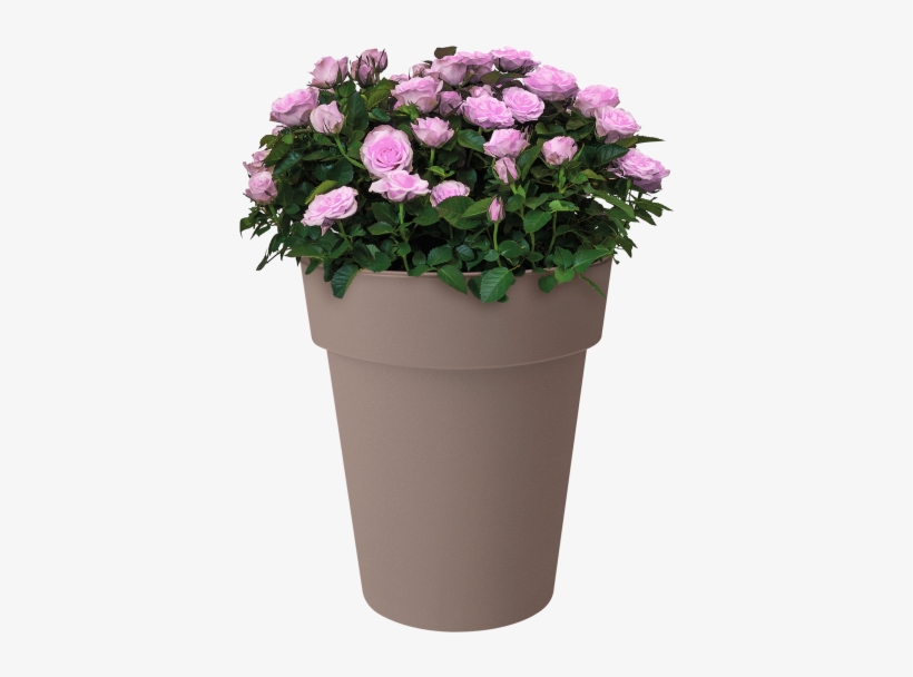 Home > Collection > Green Basics Top Planter High - Flowerpot, transparent png download