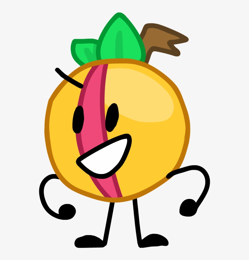 Grapefruit - Cartoon, transparent png download