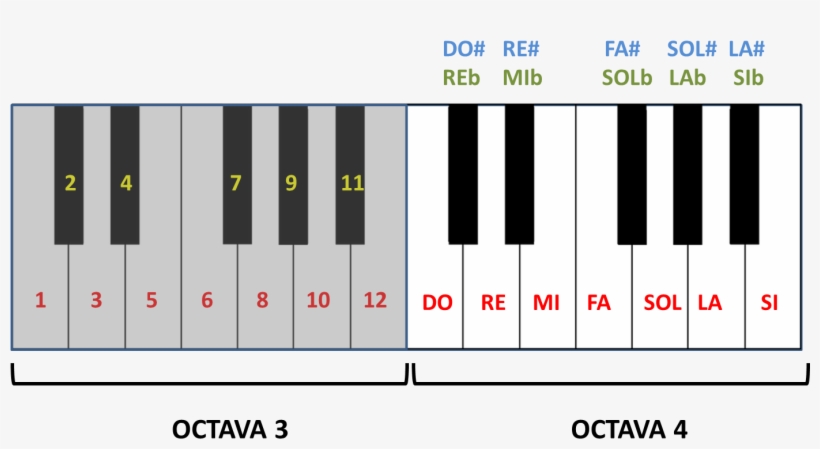 Octavas 3 Y 4 De Un Teclado - Piano Keyboard Transparent Png, transparent png download