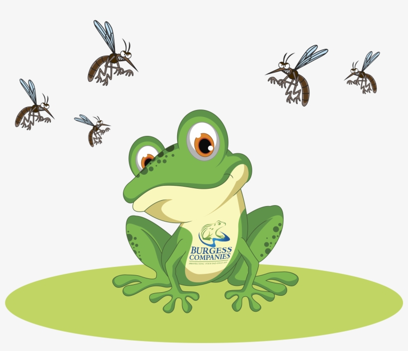 Celebrate Independence From Mosquitoes This 4th Of - Cartoon Green Frog, transparent png download