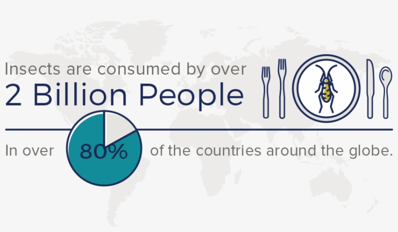 Tradition Infographic - Graphics, transparent png download
