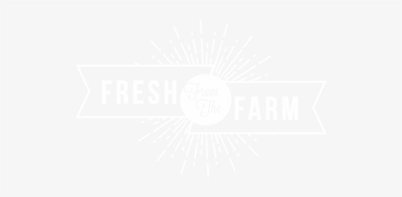 Brining The Farmer's Market To You - Toronto Film Festival Logo White, transparent png download