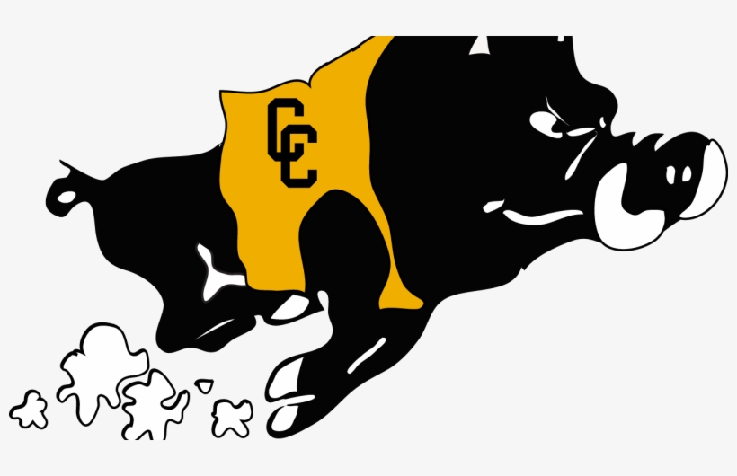 Quick Links - Colquitt County High School Mascot, transparent png download