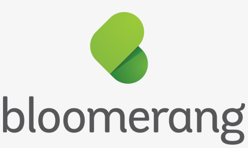 March 25, - Bloomerang Logo, transparent png download