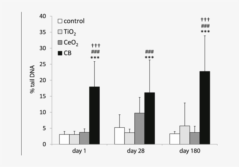 Dna Strand Break Levels In The Liver Tissue Detected - Diagram, transparent png download