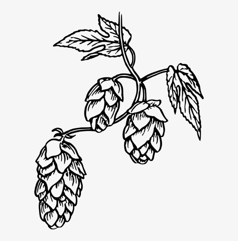 Hops Beer India Pale Ale Common Hop, transparent png download