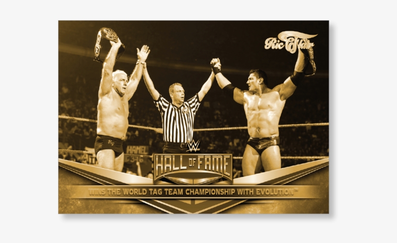 2018 Topps Wwe Heritage Ric Flair - Wwe Hall Of Fame, transparent png download