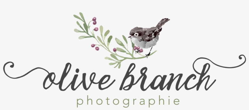 Graphic Design, transparent png download