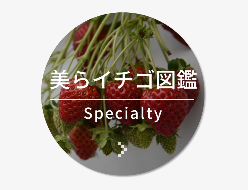Line@ - Seedless Fruit, transparent png download