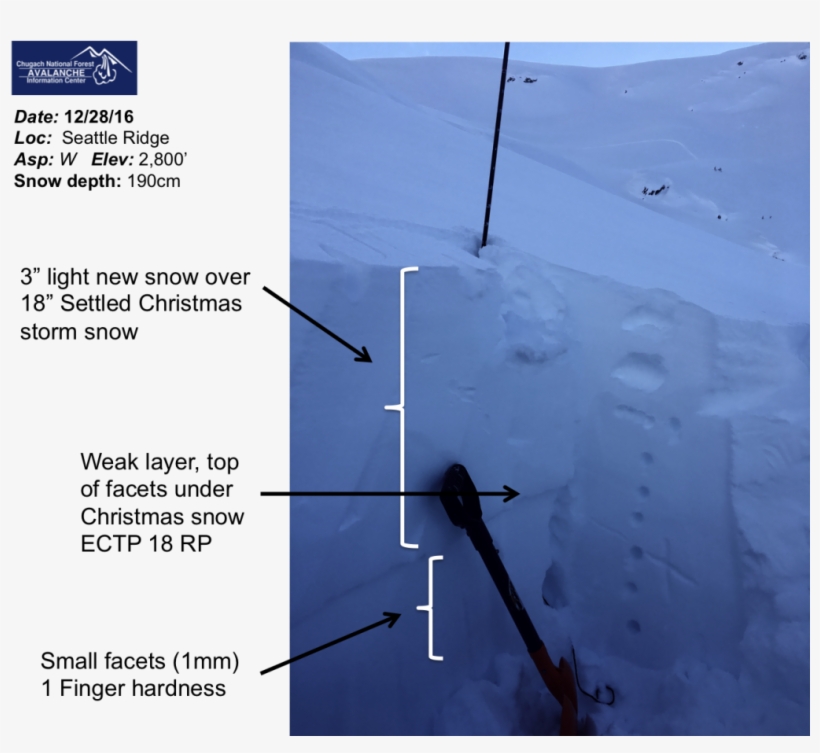 Christmas Snow Is Slowly Stabilizing In The Upper Seattle - Snow, transparent png download