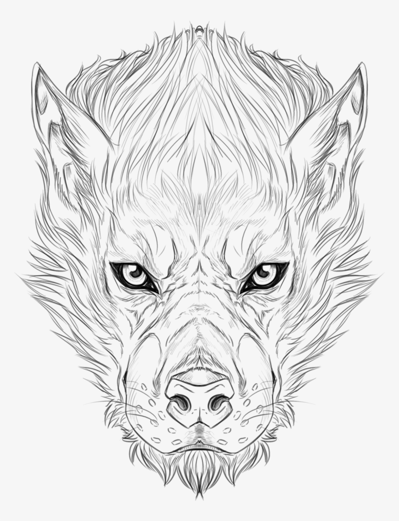 Faces At Getdrawings - Sketch, transparent png download