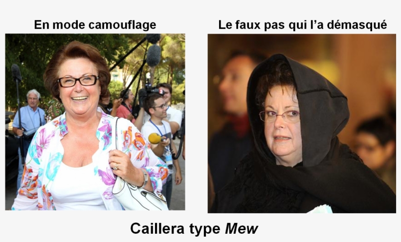 Caillera Type Mew - Girl, transparent png download