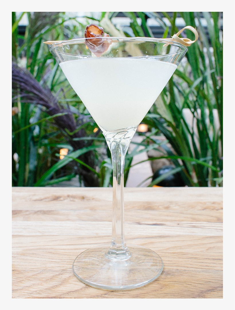 Urban Farmer Portland In Portland, Oregon - Gimlet, transparent png download