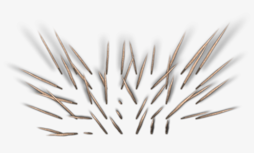 Spikebarrier2 Dgw B 06 Feb 2009 - Brush, transparent png download