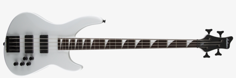 Chris Beattie Bass - Schecter Stiletto Stage 5, transparent png download