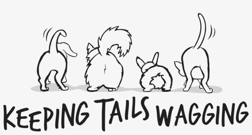 Cartoon, transparent png download