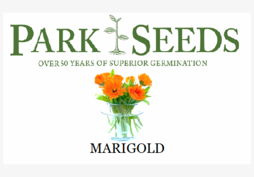 Marsanpiel, transparent png download